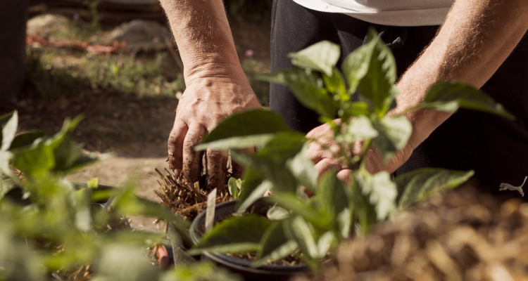 PICA, el raro trastorno alimenticio que lleva a personas a comer tierra, jabón, cabello y otras cosas