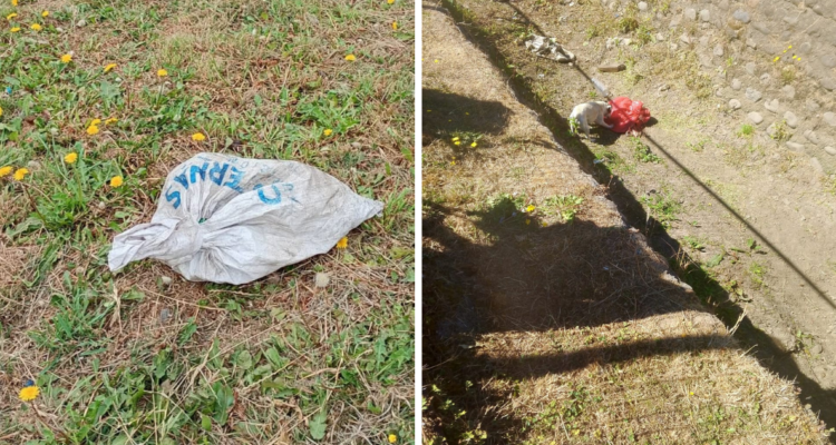 Saco en el que fueron halladas pieles de gatos en Puyehue