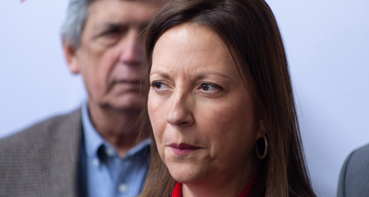 Piergentili (PPD) por candidatura de Tohá: “Es muy difícil que crezca siendo ministro del Interior”