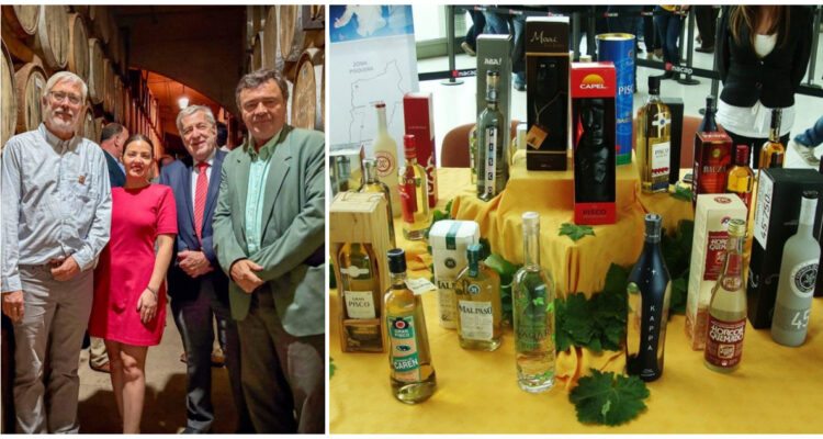 Gobierno comunica que pisco chileno estaría a un paso de ser reconocido Patrimonio Mundial por Unesco
