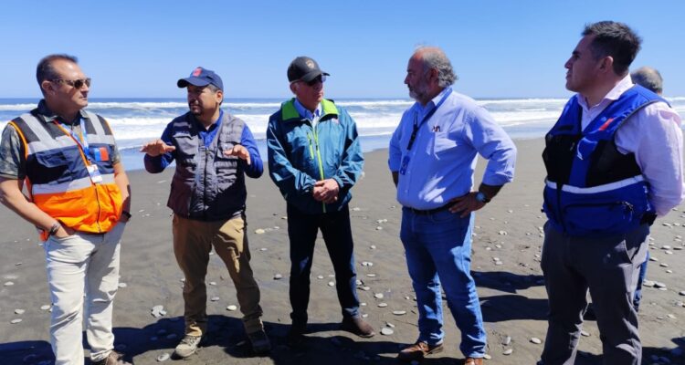 Plan de prevención y monitoreo por posible llegada de influenza aviar a nuestro país