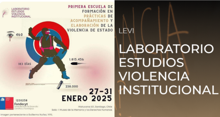 Laboratorio de Estudios sobre Violencia Institucional (LEVI)
