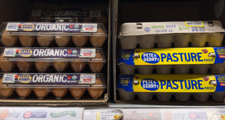 No parece retroceder: precio de una docena de huevos en EEUU alcanzó un récord de casi cinco dólares