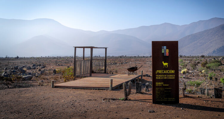 Gobierno ingresa apelación por fallo que obliga a votar nuevamente el proyecto Dominga