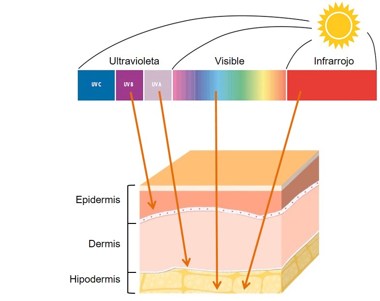 Rayos UV, UVA y UVB: qué efectos tienen y por qué tu protector solar debe protegerte de ellos