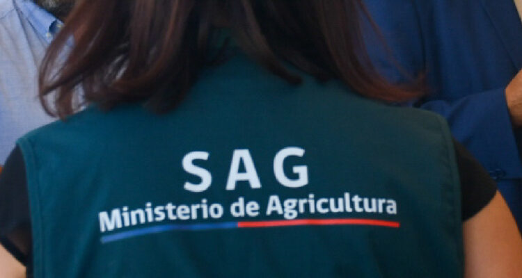 Sector agrícola y ganadero de Los Ríos cuestiona instructivo SAG para manejo de plaguicidas