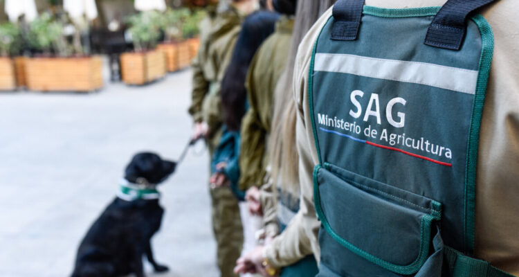 Frutas de Chile alerta por recorte al SAG: afirma que afectará a las exportaciones y economía del país