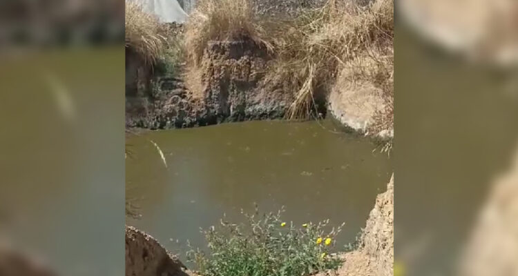 “Salvemos Crucero”: Municipio de Purranque se reúne con familias que acusan contaminación de empresa