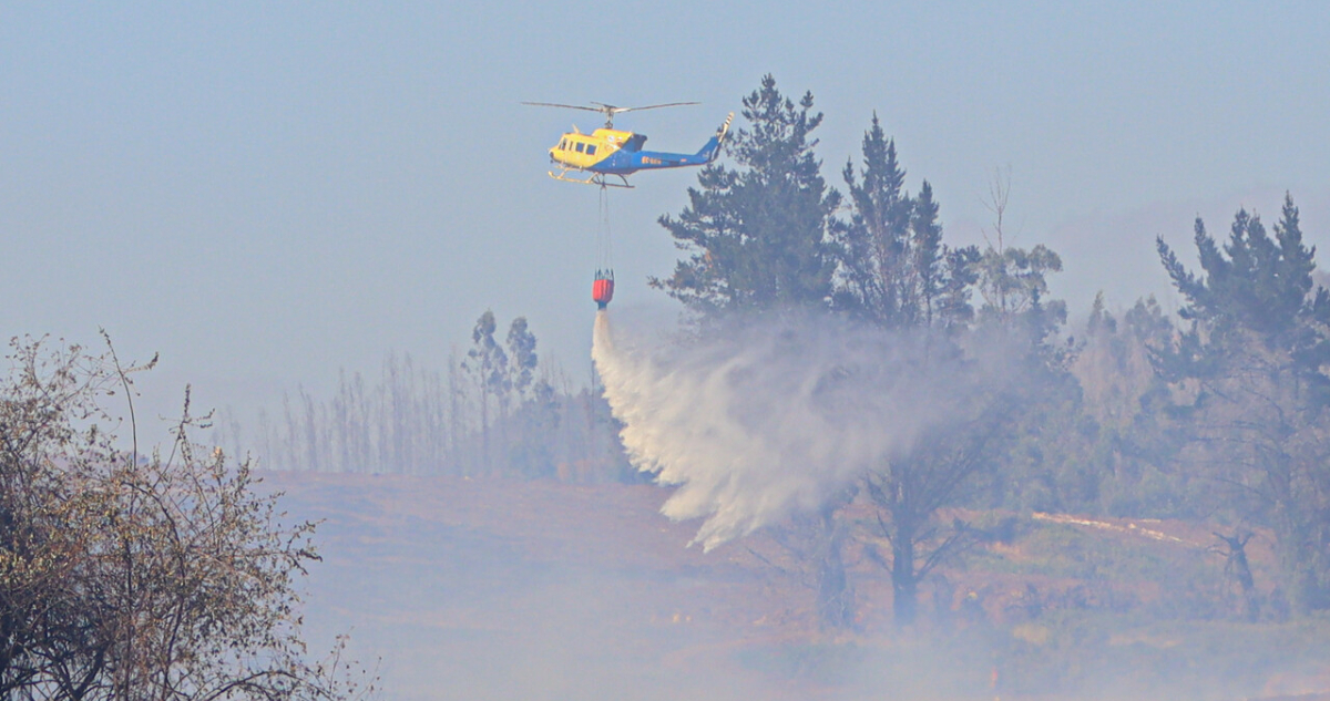 Senapred confirma nuevo detenido acusado de iniciar incendio forestal en Maule: van 15 desde el jueves