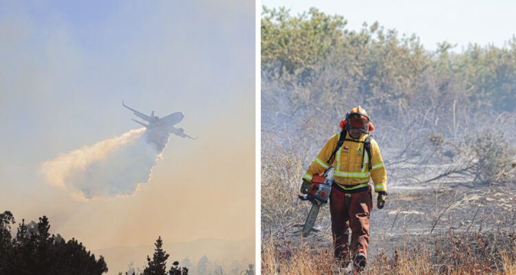 Senapred entrega nuevo balance por incendios forestales: 15 focos siguen activos en el país