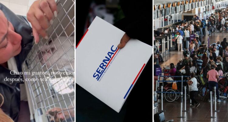 Tras caso viral relacionado a Sky: Sernac oficia a aerolíneas por protocolos para el viaje de mascotas