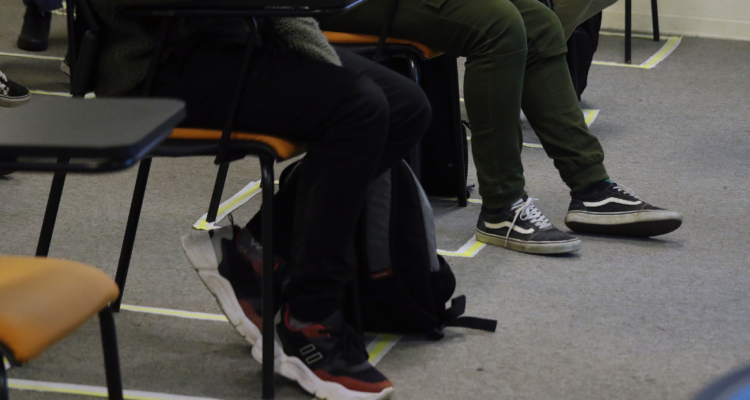 Asociación de Educadores solicita a CGR que se pronuncie respecto a asignatura de pueblos originarios