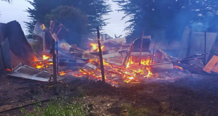 Incendio consume instalaciones del centro de habilitación Chiloé Silvestre en Ancud: murió lobo marino