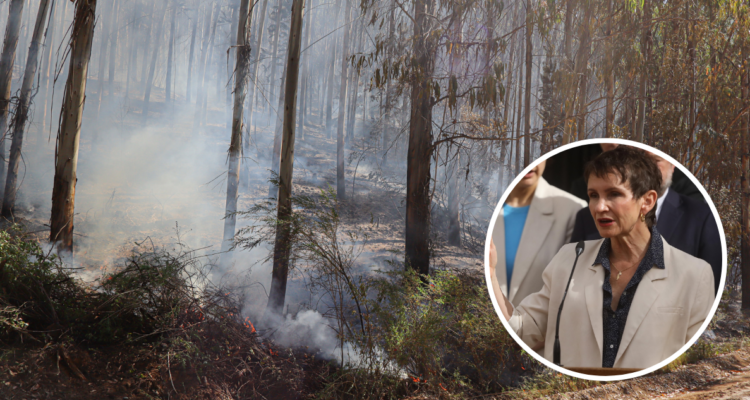 Ministra Tohá lamenta muerte de adulta de 82 años en incendio en Curepto: hizo llamado a la prevención