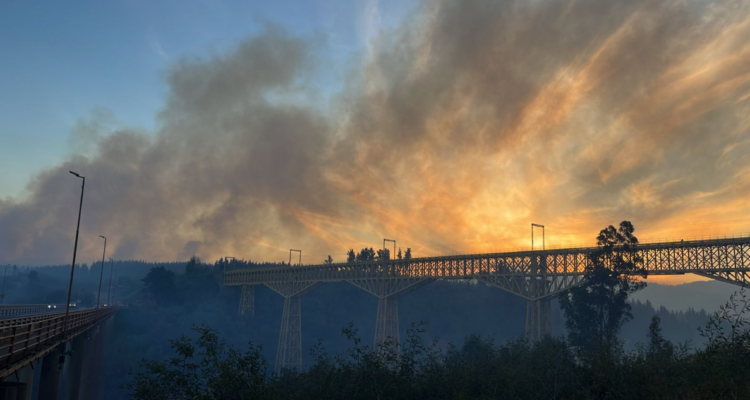 Senapred ordena evacuar nuevos sectores de Collipulli por incendio forestal fuera de control