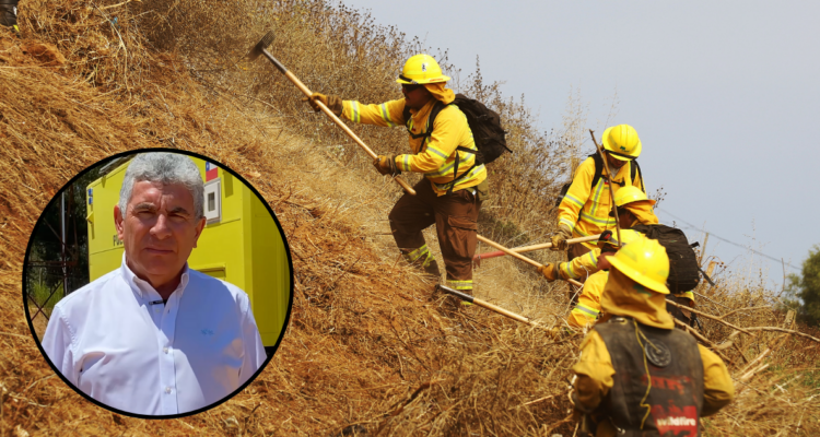 Alcalde de Hualqui pide al Gobierno decretar toque de queda en región del Bío Bío por incendios