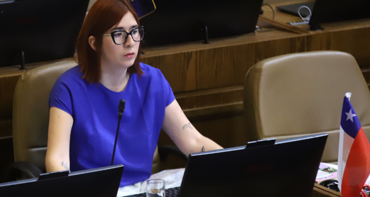 Corte de Apelaciones de Antofagasta entregará resolución sobre desafuero de diputada Pérez