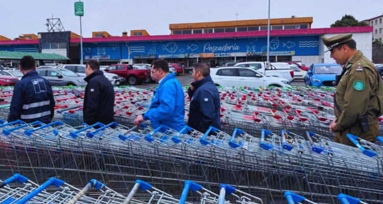 Vega Monumental de Concepción recupera más de 400 carros que eran usados en el comercio ilegal