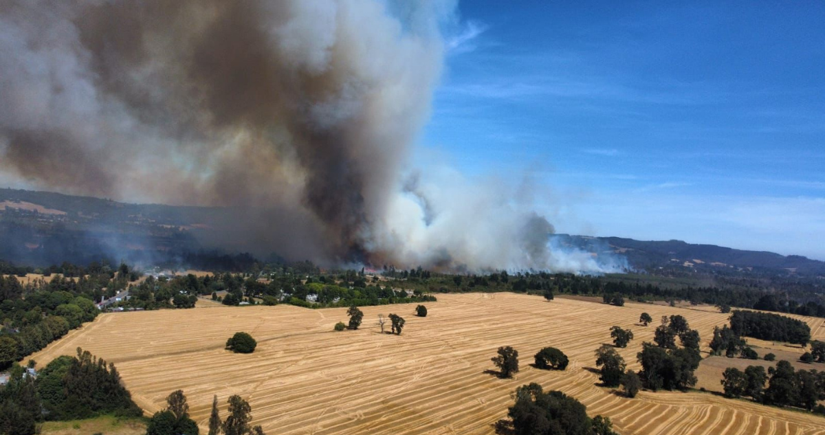 Senapred pide evacuar sector de Polún en Pitrufquén por reactivación de incendio forestal