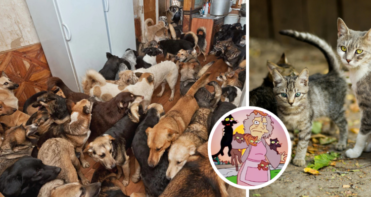 “Síndrome de Noé”