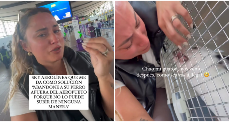 “Vas a tener que dejar el perro”: denuncian a Sky por impedir viaje de mascota a su nuevo hogar