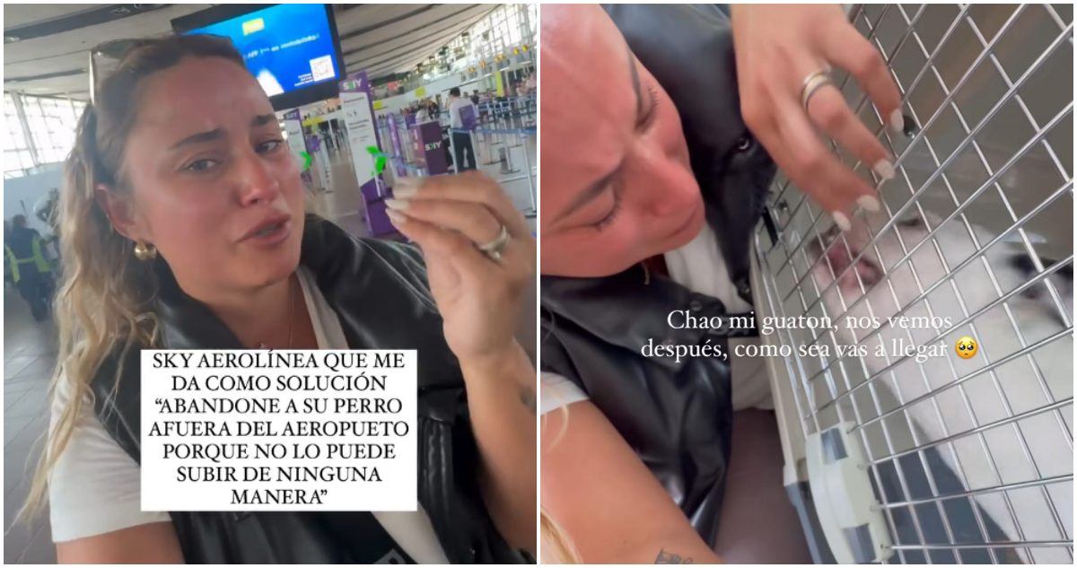 “Vas a tener que dejar el perro”: denuncian a Sky por impedir viaje de mascota a su nuevo hogar