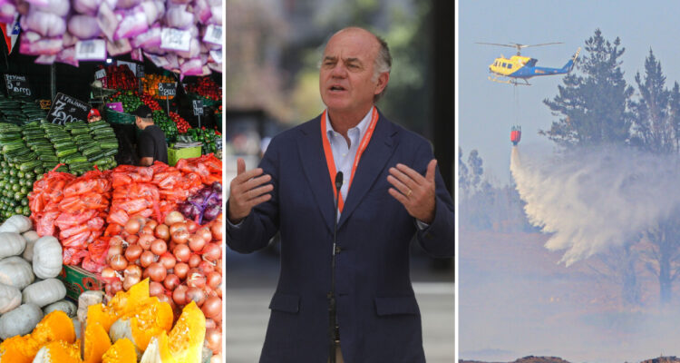 SNA dice que incendios no afectarán al abastecimiento de alimentos y descarta alzas de precios