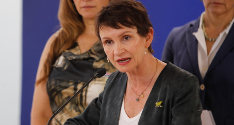 Tohá no descarta intencionalidad de incendios forestales en la araucanía