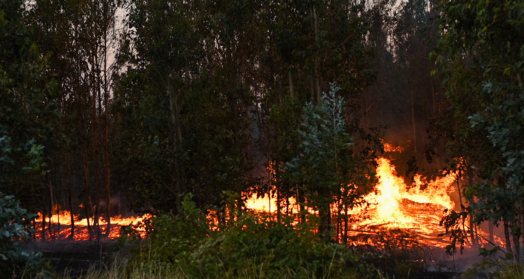 Alerta SAE Pitrufquén y perquenco