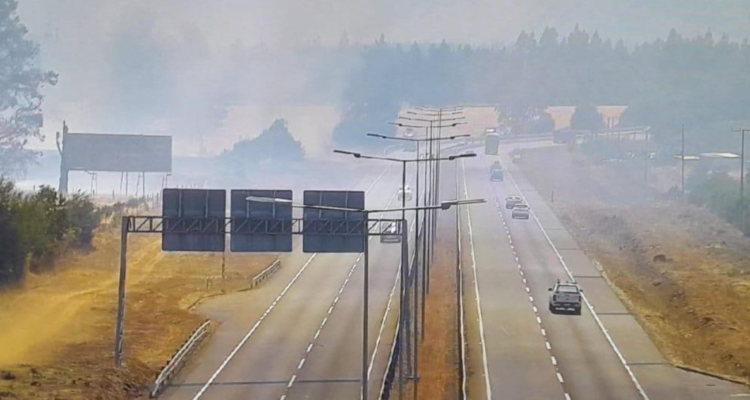 Alerta roja incendio forestal Ercilla