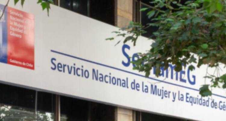 Directora sernameg Los Ríos