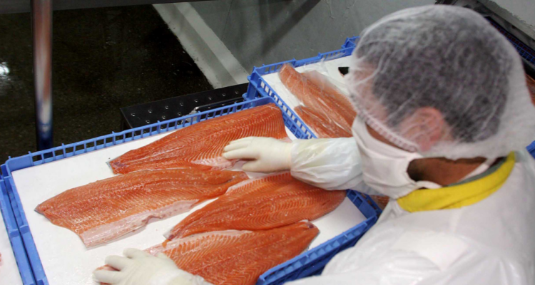 Exportación salmón