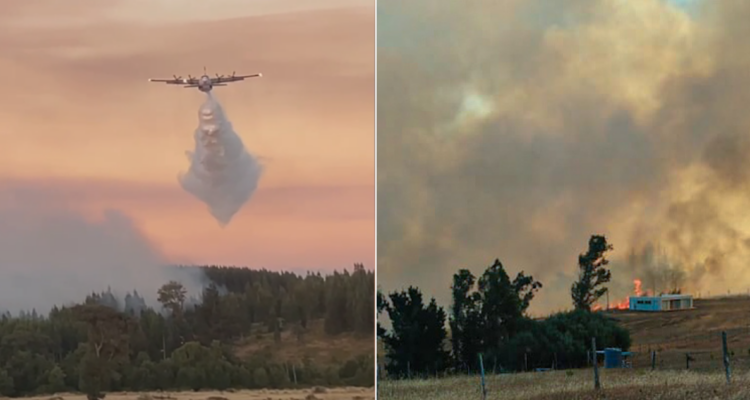 Mensajería SAE, alerta roja y más de 20 focos