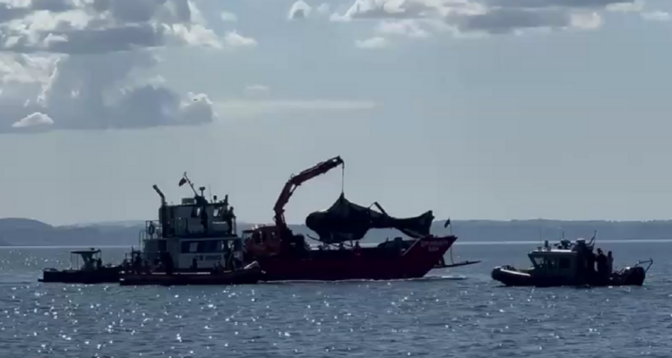 Permisos para tours donde murió Piñera: alcalde de Lago Ranco acusa turismo en base a la tragedia