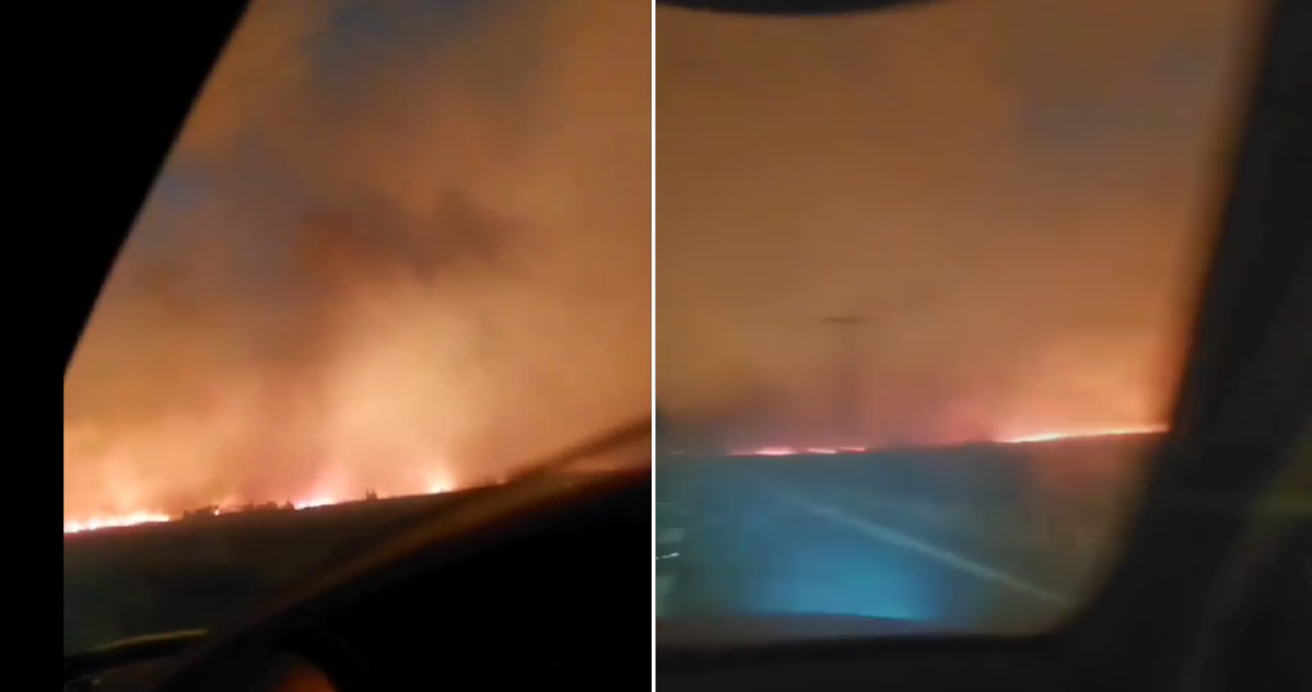 Incendio forestal Mulchén
