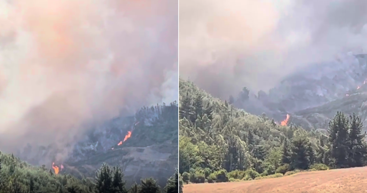 Incendio forestal galvarino