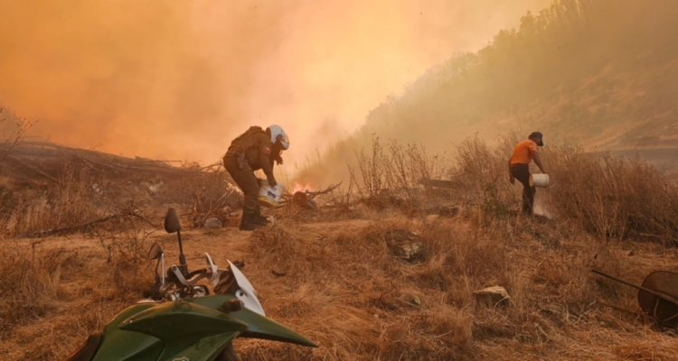 Toque de queda en la araucanía