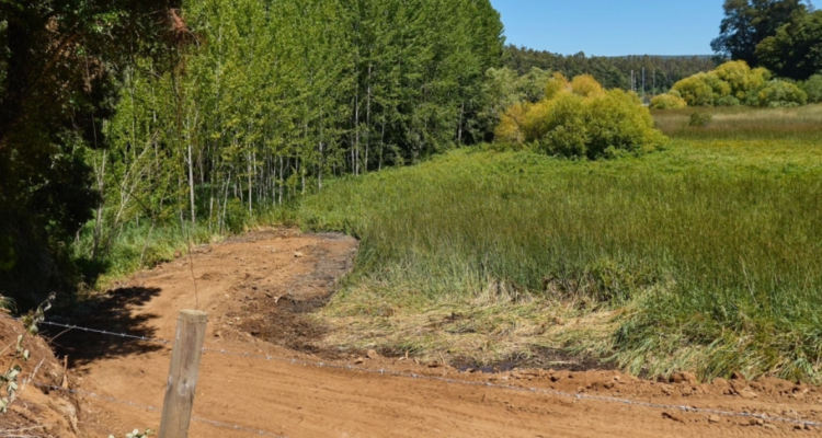 Humedal angachilla multa