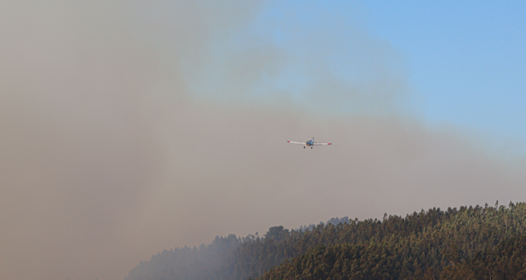 Toque de queda la aracuanía