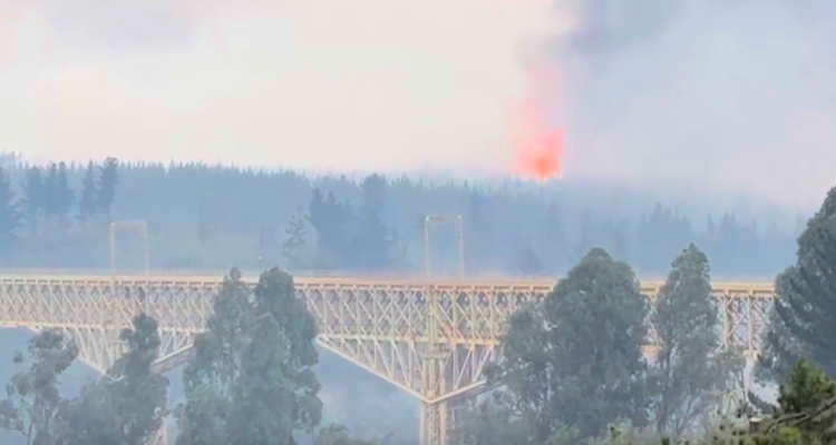 Incendios forestales la Araucanía