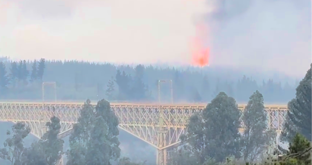 Incendios forestales la Araucanía