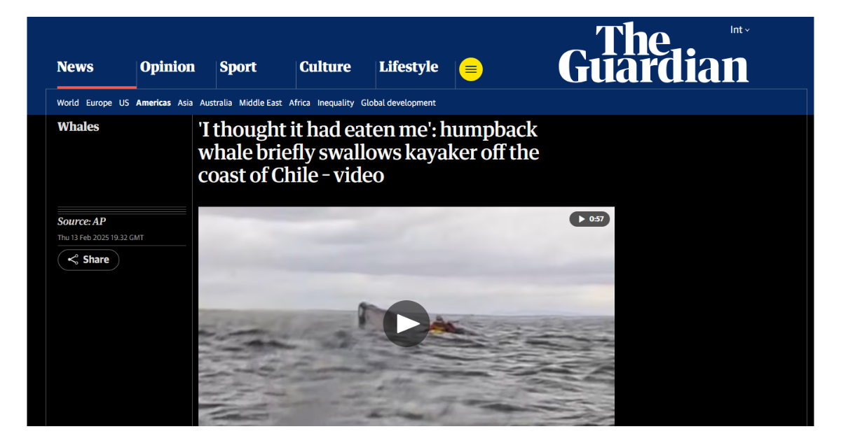 The Guardian