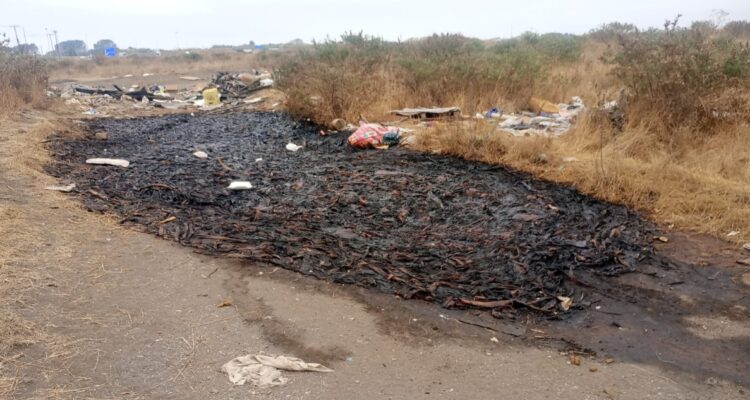 José Manuel Lagos – RBB Concepción