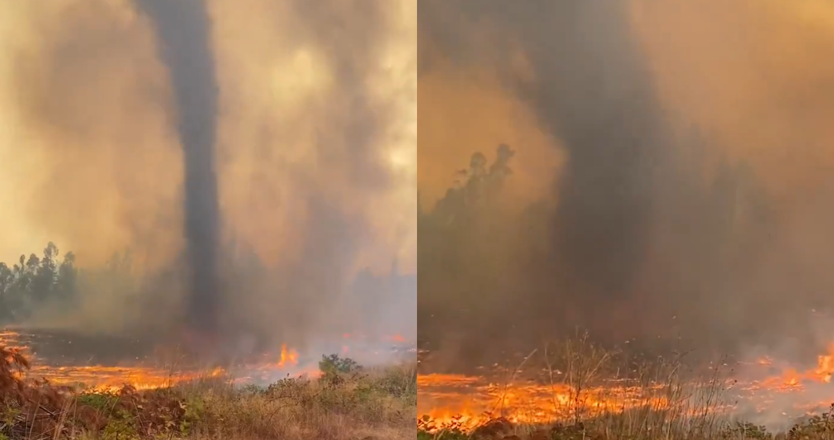 VIDEO | Captan impactante tornado de humo en incendio forestal de Galvarino: fuego continúa su avance