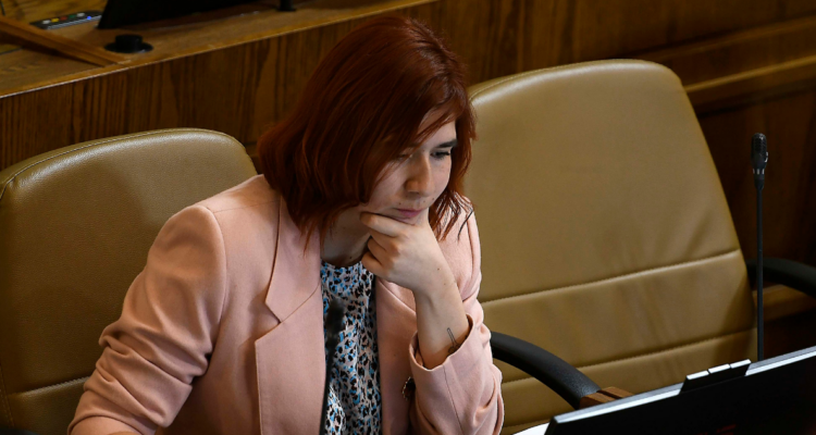 Tres delitos de fraude al fisco: El detalle de la futura formalización a Catalina Pérez tras desafuero