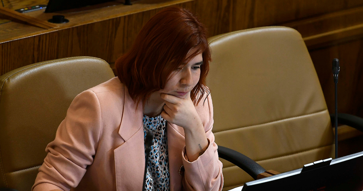 Tres delitos de fraude al fisco: El detalle de la futura formalización a Catalina Pérez tras desafuero