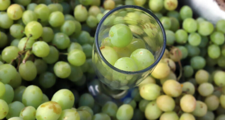 Gobierno reitera que de momento los aranceles de Trump no afectarán: “TLC con EEUU es extraordinario”