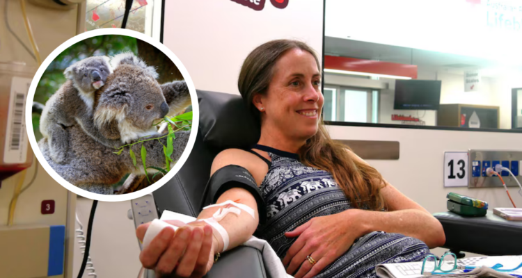 Veterinaria logra salvar miles de vidas de animales en Australia con una simple pregunta