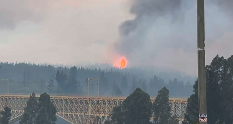 Vídeo muestra rápido avance de incendio forestal en Collipulli: vientos bordean los 50 km/h