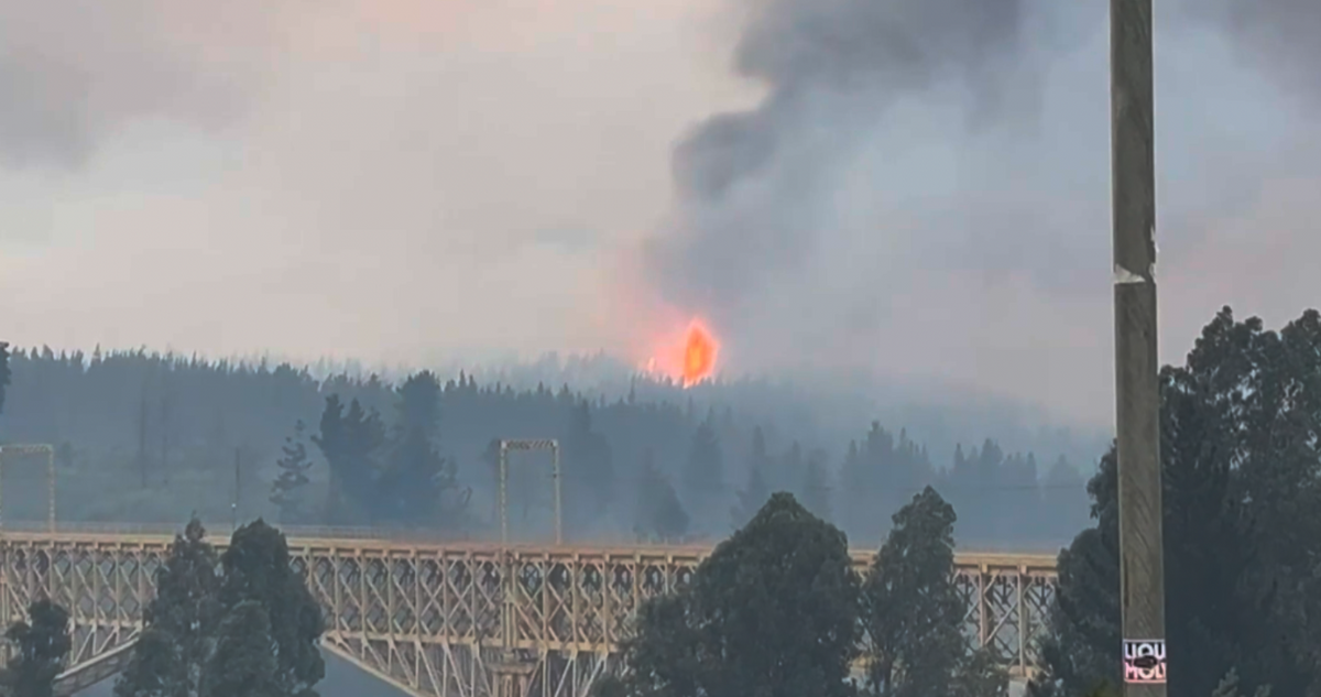 Vídeo muestra rápido avance de incendio forestal en Collipulli: vientos bordean los 50 km/h